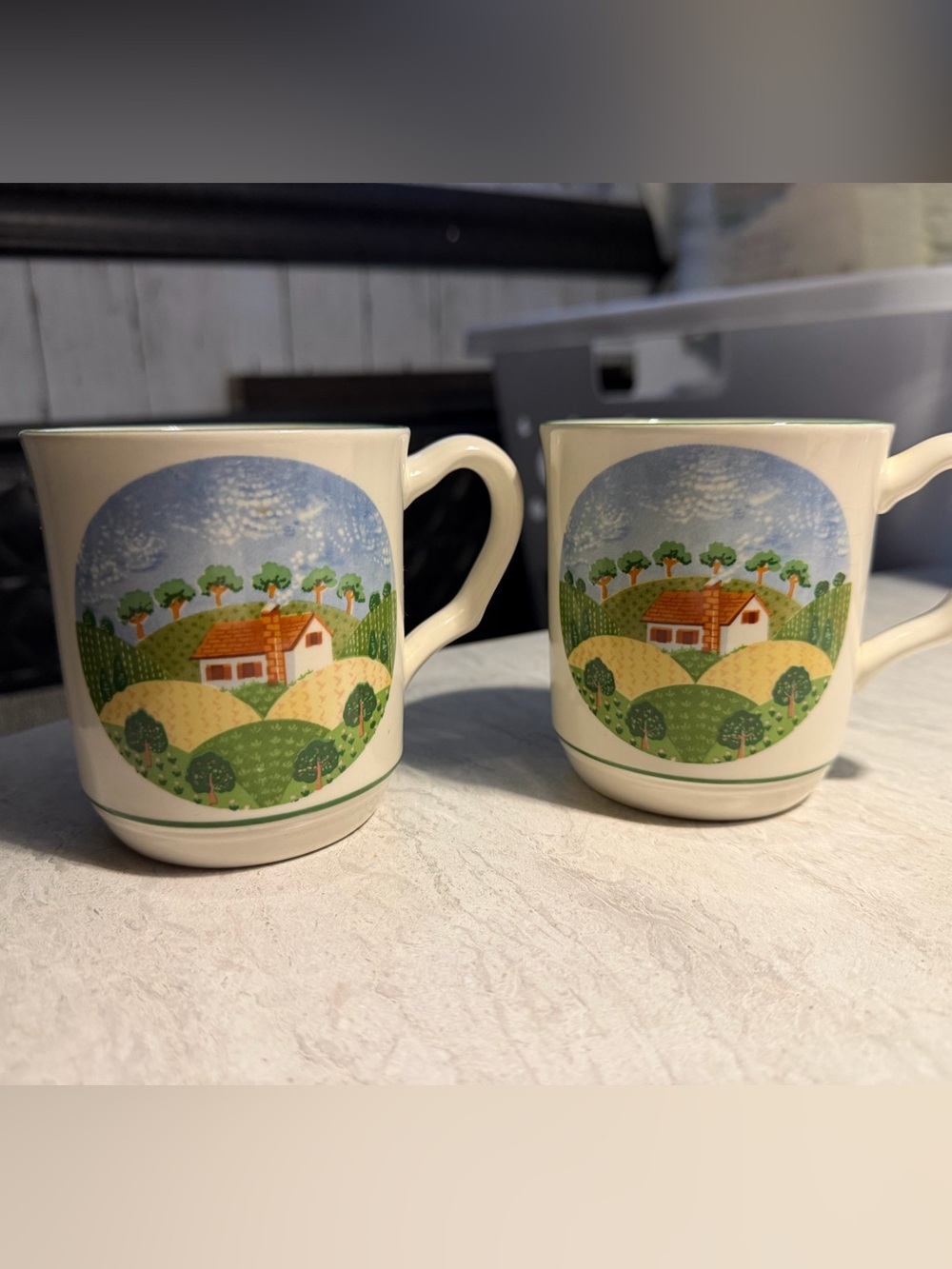 two Sangostone Country Cottage Coffee Mugs/tea cups Cottagecore vintage